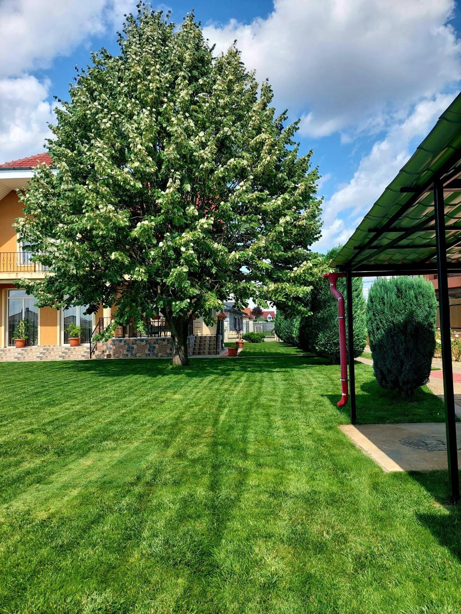Casuta Cu Tei Villa Oradea Exterior foto
